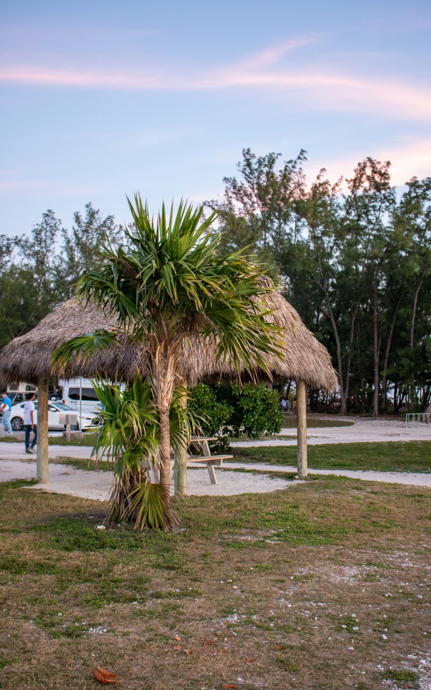 Thatched-roof campground shelter in Florida