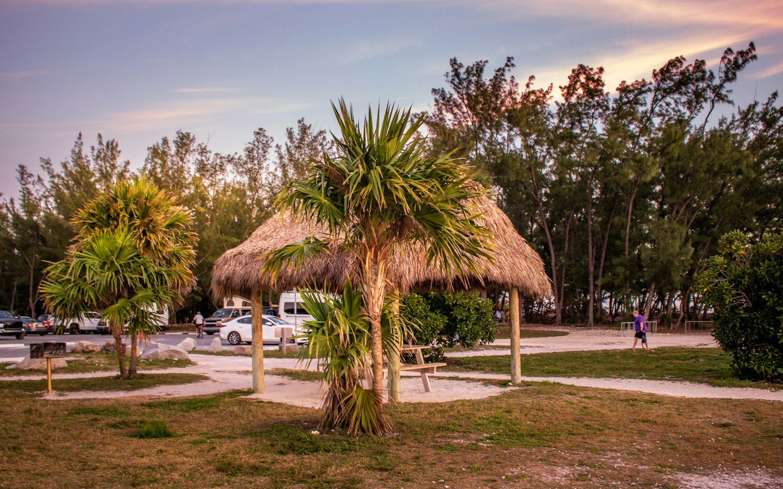 Florida campground with palm trees